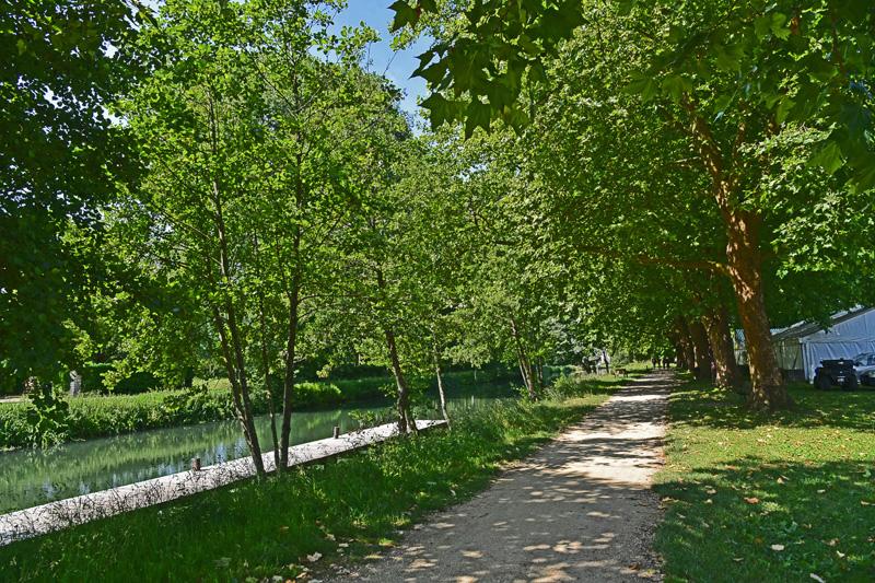 min 2025 06 08 Marais Poitevin 175